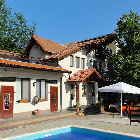 Vila Europa Sărata-Monteoru エクステリア 写真