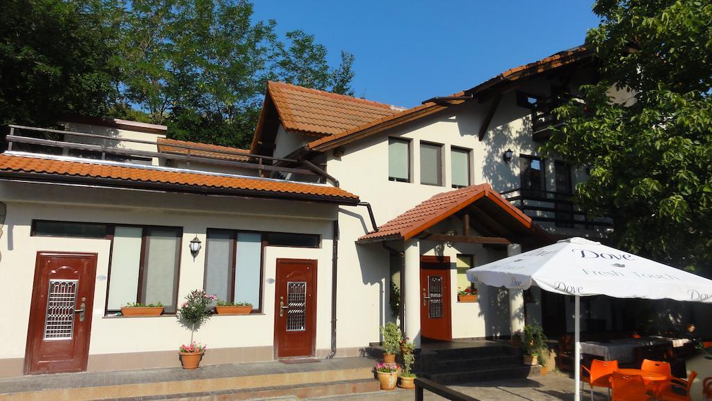 Vila Europa Sărata-Monteoru エクステリア 写真
