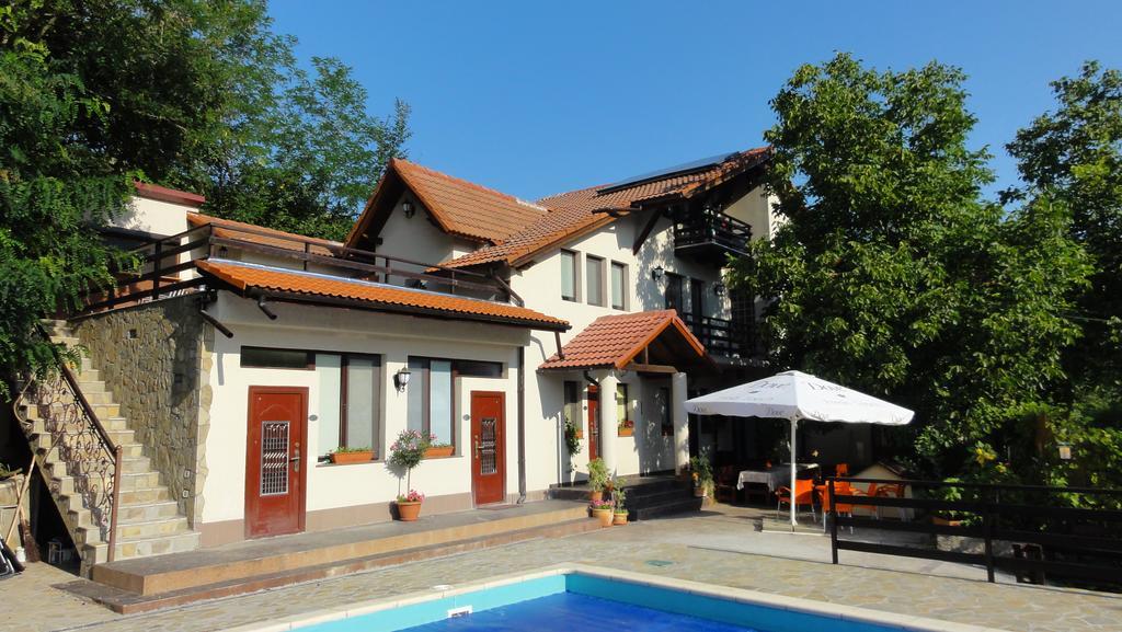 Vila Europa Sărata-Monteoru エクステリア 写真